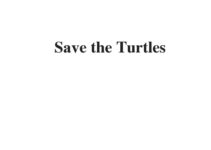 (Update 2023) Save the Turtles | IELTS Reading Practice Test