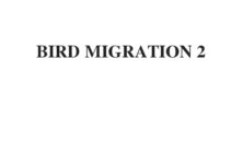 (Update 2023) BIRD MIGRATION 2 | IELTS Reading Practice Test