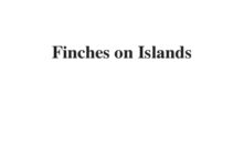 (Update 2022) Finches on Islands | IELTS Reading Practice Test