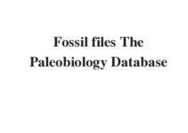 (Update 2022) Fossil files: The Paleobiology Database|IELTS Reading Practice Test
