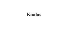 (Update 2022) Koalas | IELTS Reading Practice Test