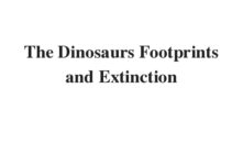 (Update 2023) The Dinosaurs Footprints and Extinction | IELTS Reading Practice Test