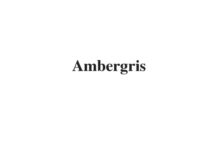 (Update 2023) Ambergris | IELTS Reading Practice