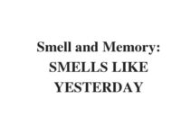(Update 2023) Smell and Memory: SMELLS LIKE YESTERDAY | IELTS Reading Practice Test