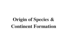 (Update 2023) Origin of Species & Continent Formation | IELTS Reading Practice Test
