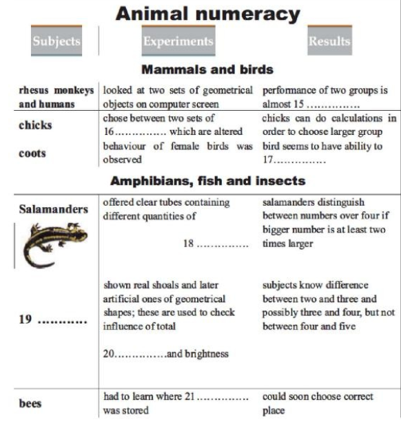 Numeracy: can animals tell numbers?