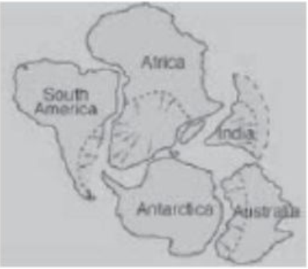 Origin of Species & Continent Formation