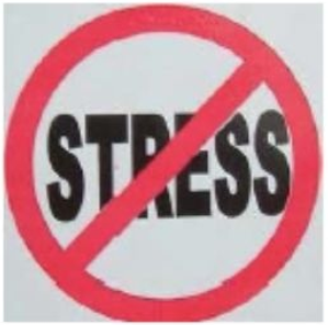 Stress of Workplace