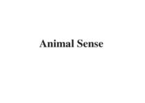 (Update 2022) Animal Sense | IELTS Listening Part 4 Free