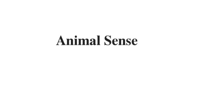(Update 2024) Animal Sense | IELTS Listening Part 4 Free