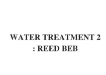 (Update 2023) WATER TREATMENT 2 : REED BEB | IELTS Reading Practice Test
