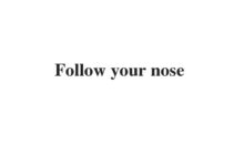 (Update 2022) Follow your nose | IELTS Reading Practice Test