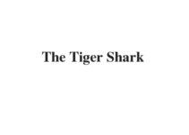 (Update 2022) The Tiger Shark | IELTS Listening Part 4 Free