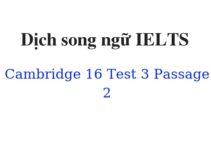 (Update 2024) Dịch song ngữ IELTS Cambridge 16 Test 3 Passage 2 Free