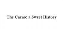 (Update 2022) The Cacao: a Sweet History  | IELTS Reading Practice Test