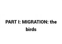 (Update 2022) MIGRATION the birds | IELTS Reading Practice Test Free