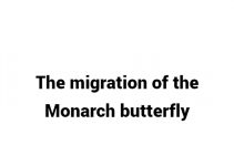 (Update 2023) The migration of the Monarch butterfly | IELTS Reading Practice Test Free