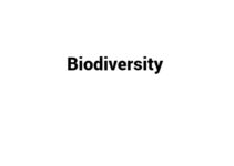 (Update 2022) Biodiversity | IELTS Reading Practice Test Free