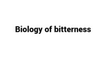 (Update 2022) Biology of Bitterness | IELTS Reading Practice Test Free