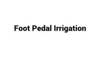 (Update 2023) Foot Pedal Irrigation | IELTS Reading Practice Test Free