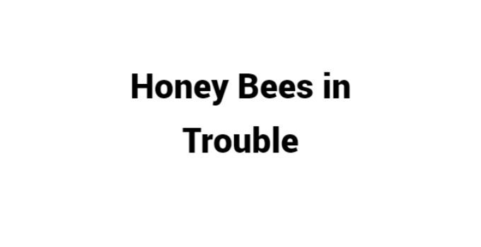 (Update 2023) Honey Bees in Trouble | IELTS Reading Practice Test Free
