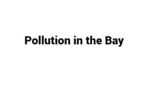 (Update 2022) Pollution in the Bay | IELTS Reading Practice Test Free