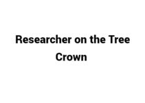 (Update 2022) Researcher on the Tree Crown | IELTS Reading Practice Test Free