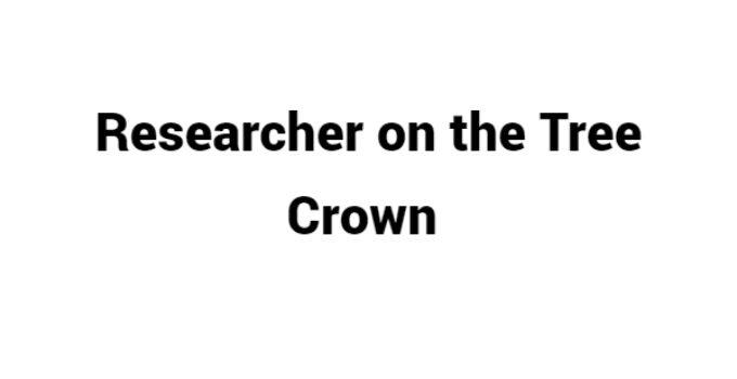(Update 2023) Researcher on the Tree Crown | IELTS Reading Practice Test Free