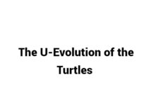 (Update 2022) The U-Evolution of the Turtles | IELTS Reading Practice Test Free