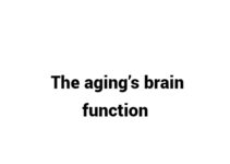 (Update 2022) The aging’s brain function | IELTS Reading Practice Test Free
