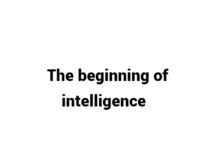 (Update 2023) The beginning of intelligence | IELTS Reading Practice Test Free