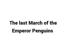 (Update 2022) The last March of the Emperor Penguins | IELTS Reading Practice Test Free