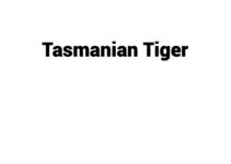 (Update 2023) Tasmanian Tiger | IELTS Reading Practice Test Free