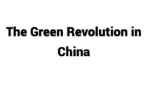 (Update 2022) The Green Revolution in China | IELTS Reading Practice Test Free