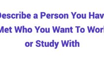 (2023) Describe a Person You Have Met Who You Want To Work or Study With