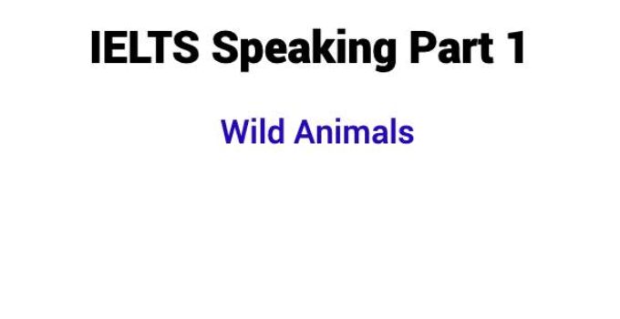 (2023) IELTS Speaking Part 1 Topic Wild Animals